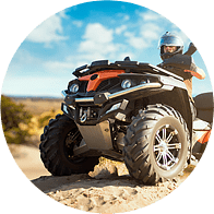 Снегоходы и квадроциклы